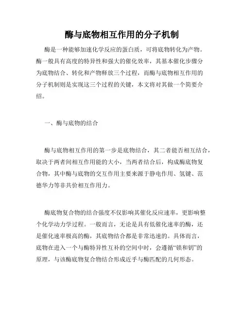 酶与底物相互作用的分子机制