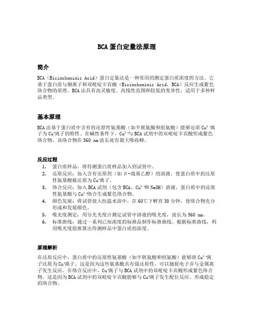 bca蛋白定量法原理