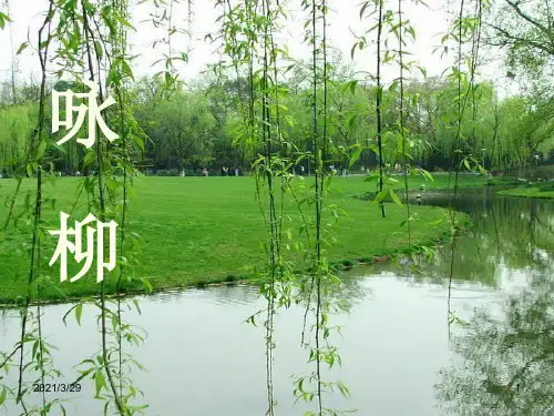部编《咏柳》(课堂PPT)