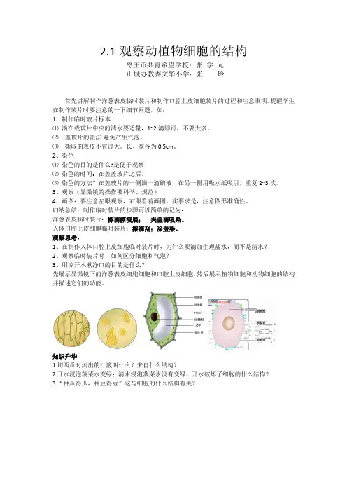 观察动物和植物细胞的结构