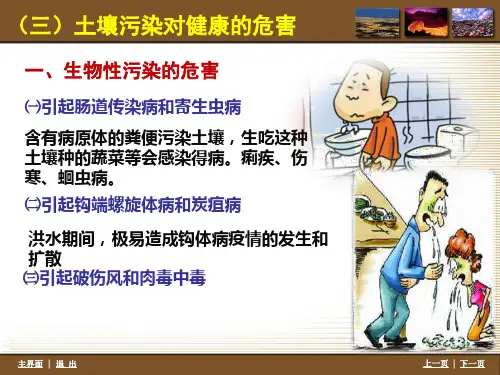 3土壤污染对健康的危害 预防医学课件