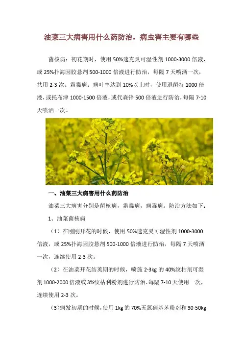 油菜三大病害用什么药防治,病虫害主要有哪些