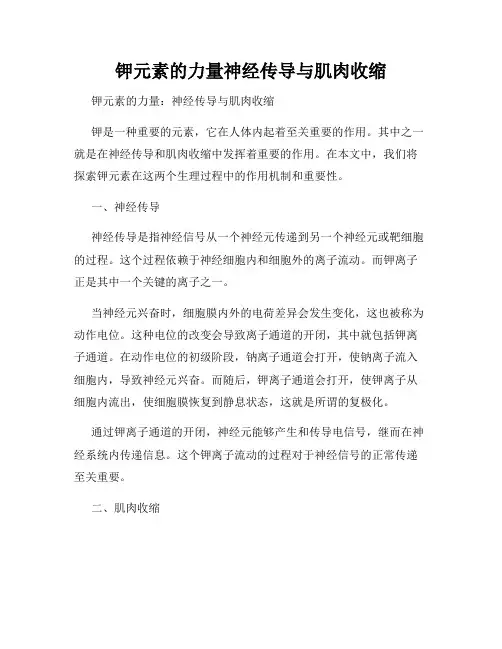 钾元素的力量神经传导与肌肉收缩