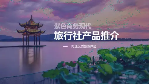 旅行社产品推荐市场营销PPT模板