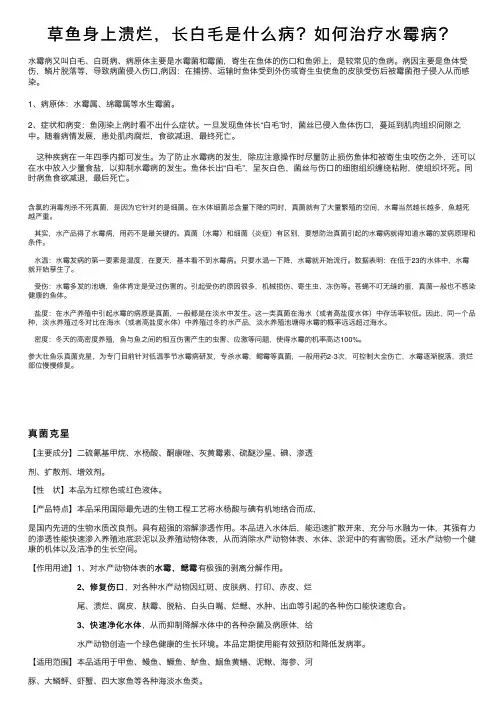 草鱼身上溃烂，长白毛是什么病？如何治疗水霉病？