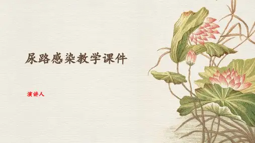 尿路感染教学课件