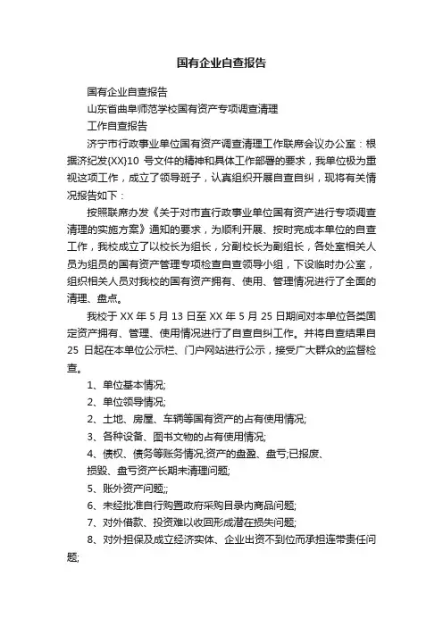 国有企业自查报告