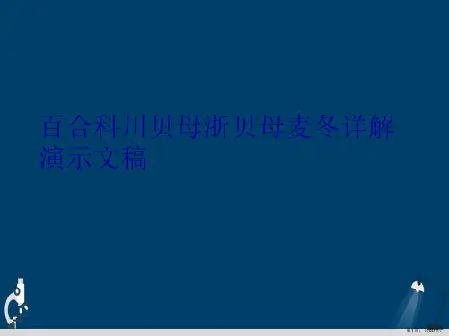 百合科川贝母浙贝母麦冬详解演示文稿