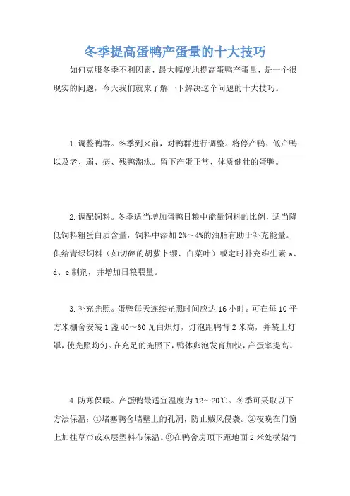 冬季提高蛋鸭产蛋量的十大技巧