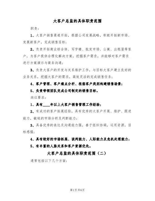 大客户总监的具体职责范围(五篇)