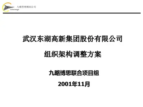 高新集团股份公司组织架构调整方案