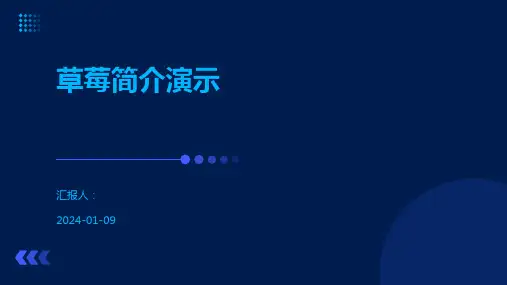 草莓简介演示