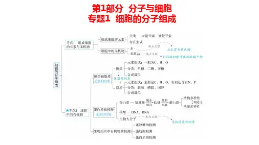 高中生物总复习讲解课件：专题1  细胞的分子组成(共16张PPT)