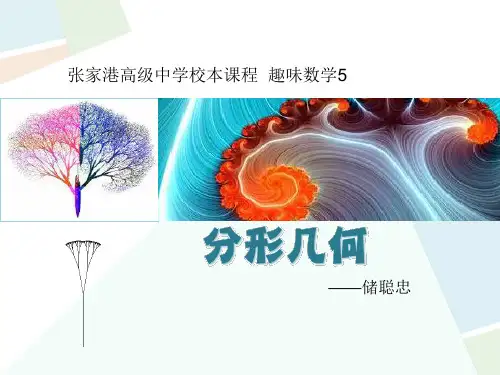 校本课程 趣味数学5 分形几何