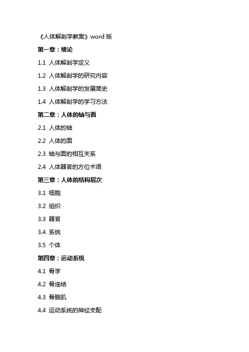 《人体解剖学教案》
