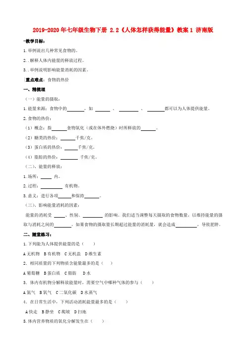 2019-2020年七年级生物下册 2.2《人体怎样获得能量》教案1 济南版