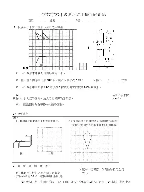 小学数学六年级复习动手操作题训练.docx