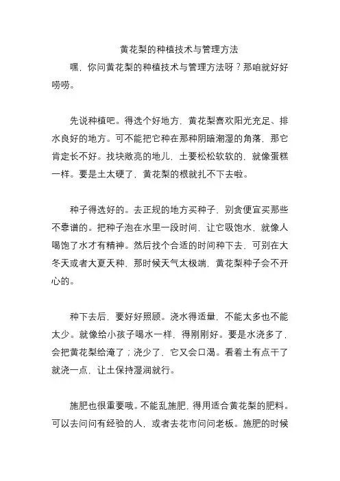 黄花梨的种植技术与管理方法
