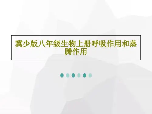 冀少版八年级生物上册呼吸作用和蒸腾作用37页PPT