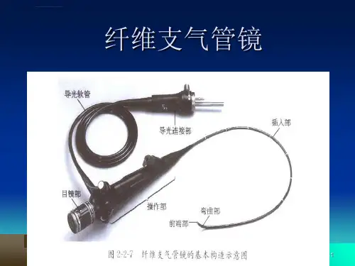 纤支镜ppt课件
