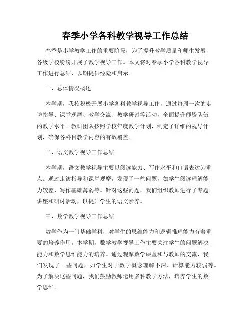 春季小学各科教学视导工作总结