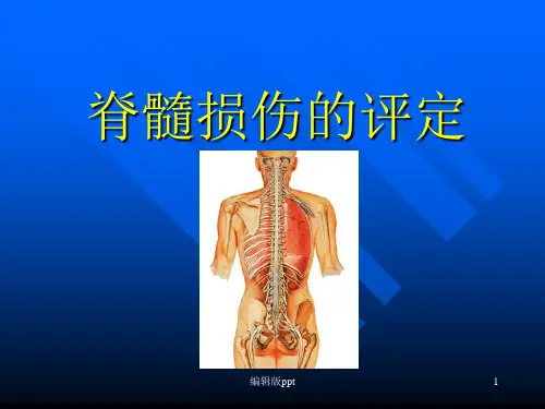 脊髓损伤的评定ppt课件
