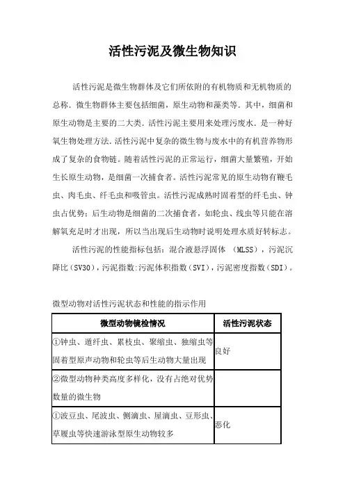 污水处理_活性污泥及微生物常识