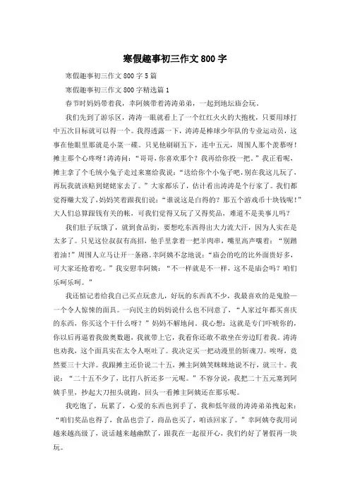 寒假趣事初三作文800字