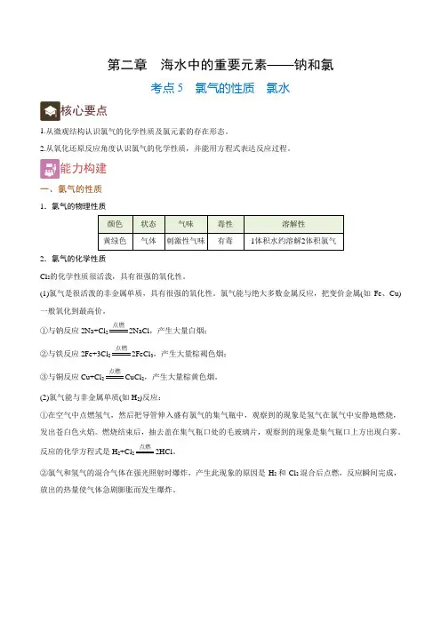 2-5 氯气的性质 氯水(精讲)(人教版2019)