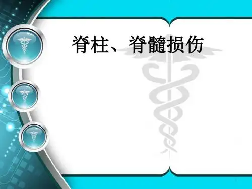 脊髓损伤PPT课件