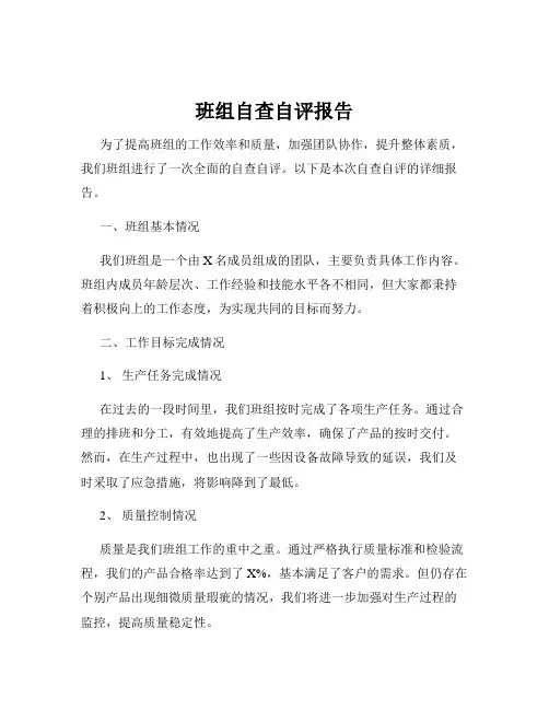 班组自查自评报告