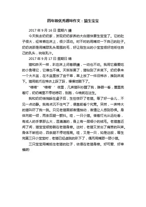 四年级优秀趣味作文：猫生宝宝