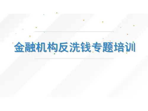 金融机构反洗钱专题培训课件PPT