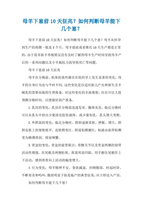 母羊下崽前10天征兆？如何判断母羊能下几个崽？