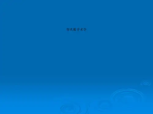 青光眼手术学