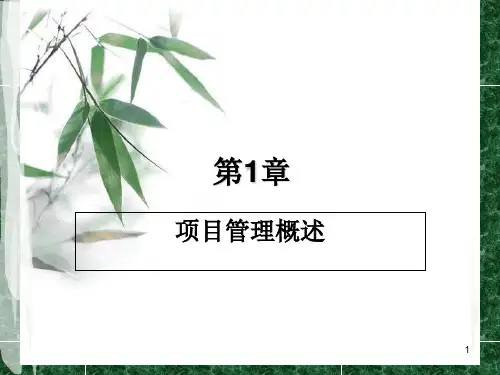 第1章项目管理概论