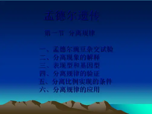 孟德尔遗传…ppt课件(共14张PPT)