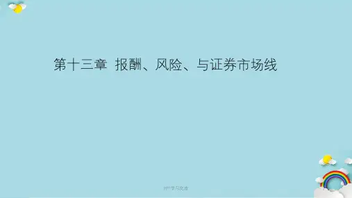 第十三章 报酬风险与证券市场线课件