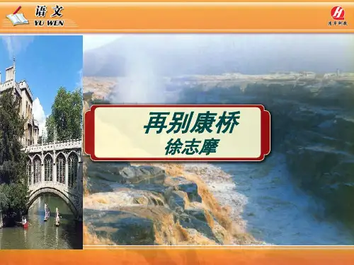 《再别康桥》优秀获奖ppt课件