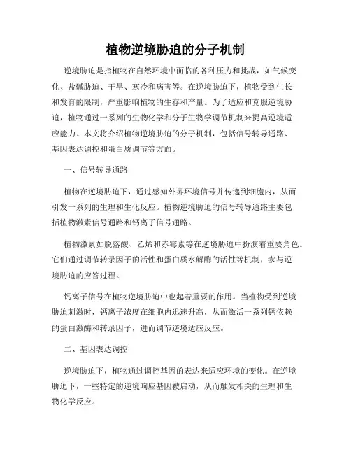 植物逆境胁迫的分子机制