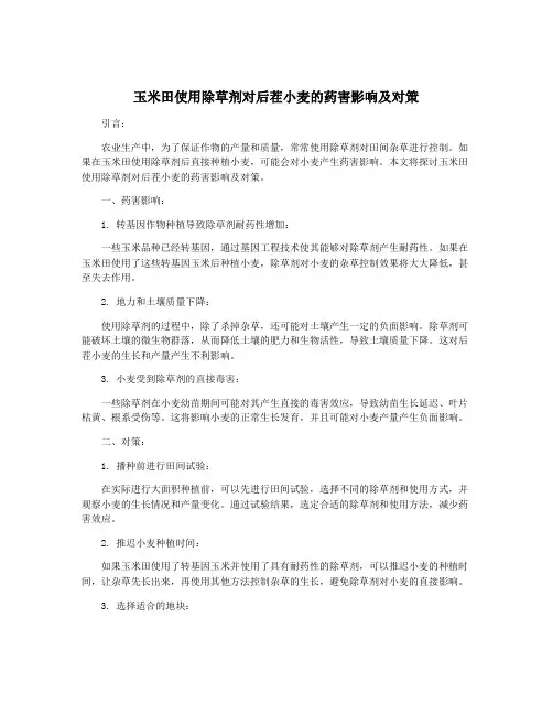 玉米田使用除草剂对后茬小麦的药害影响及对策