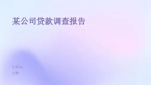 某公司贷款调查报告