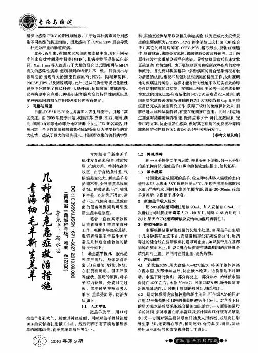 青海细毛羊新生羔羊几种常见危急症救治措施