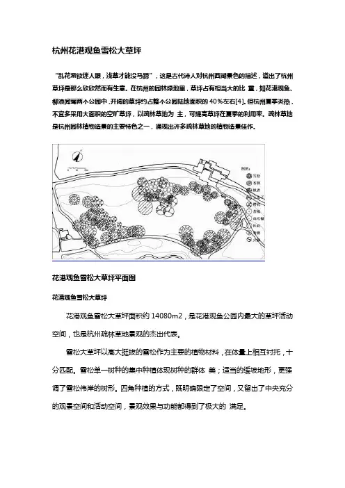 杭州花港观鱼雪松大草坪