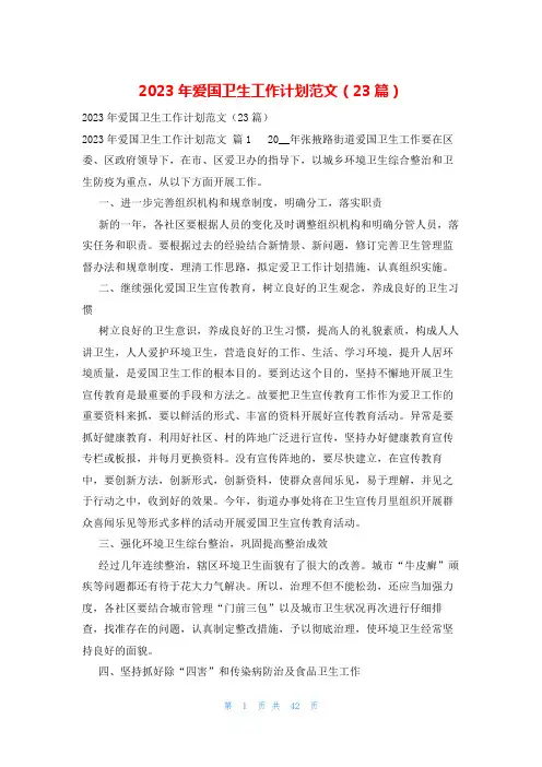 2023年爱国卫生工作计划范文(23篇)