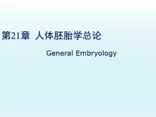 组织学与胚胎学教学课件：第21章人体胚胎学总论