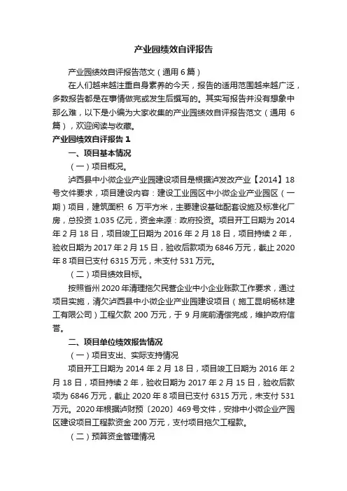产业园绩效自评报告范文（通用6篇）