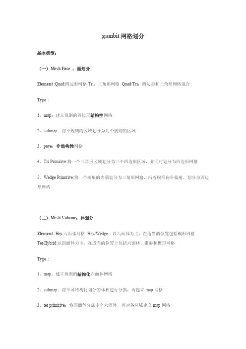 gambit网格类型