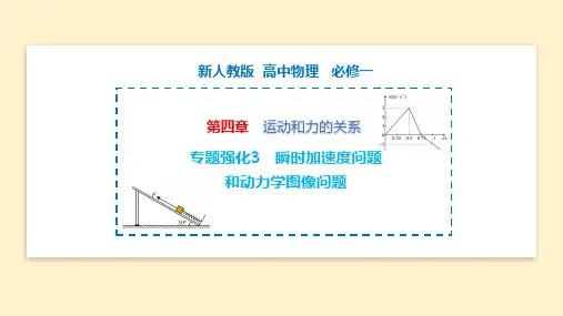 专题强化 瞬时加速度问题和动力学图像问题 高一物理(人教版2019必修第一册)