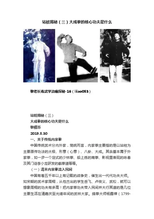 站桩揭秘（三）大成拳的核心功夫是什么